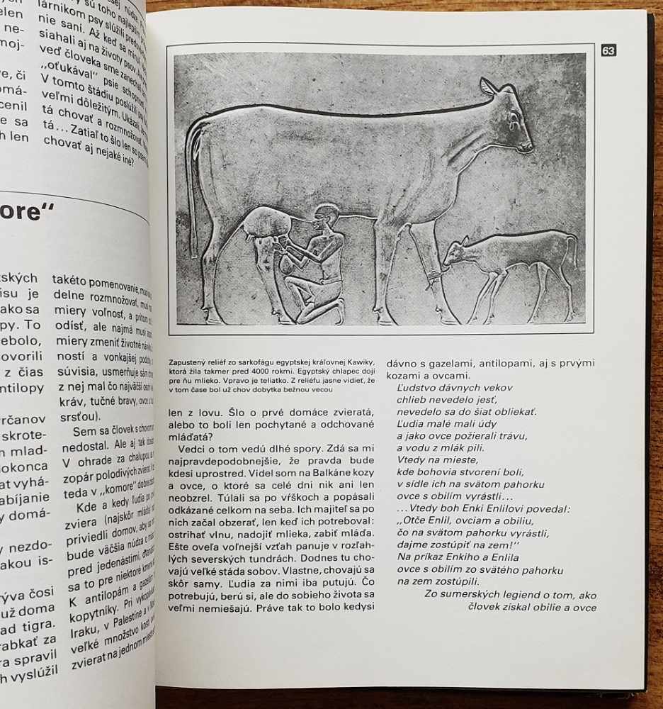 Človek a zvieratá