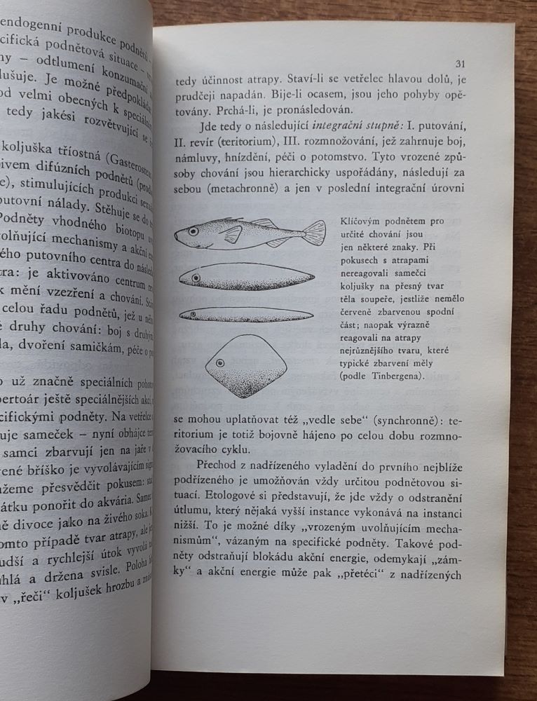 Od zvířete k člověku