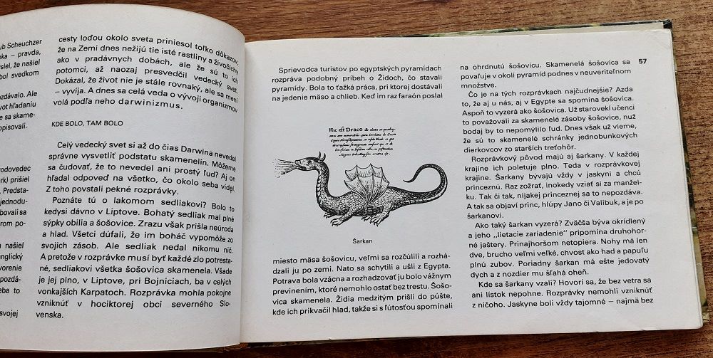 Skamenelý život