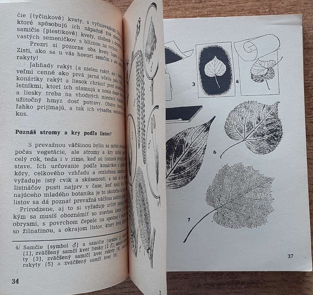 Botanik / Odznak odbornosti