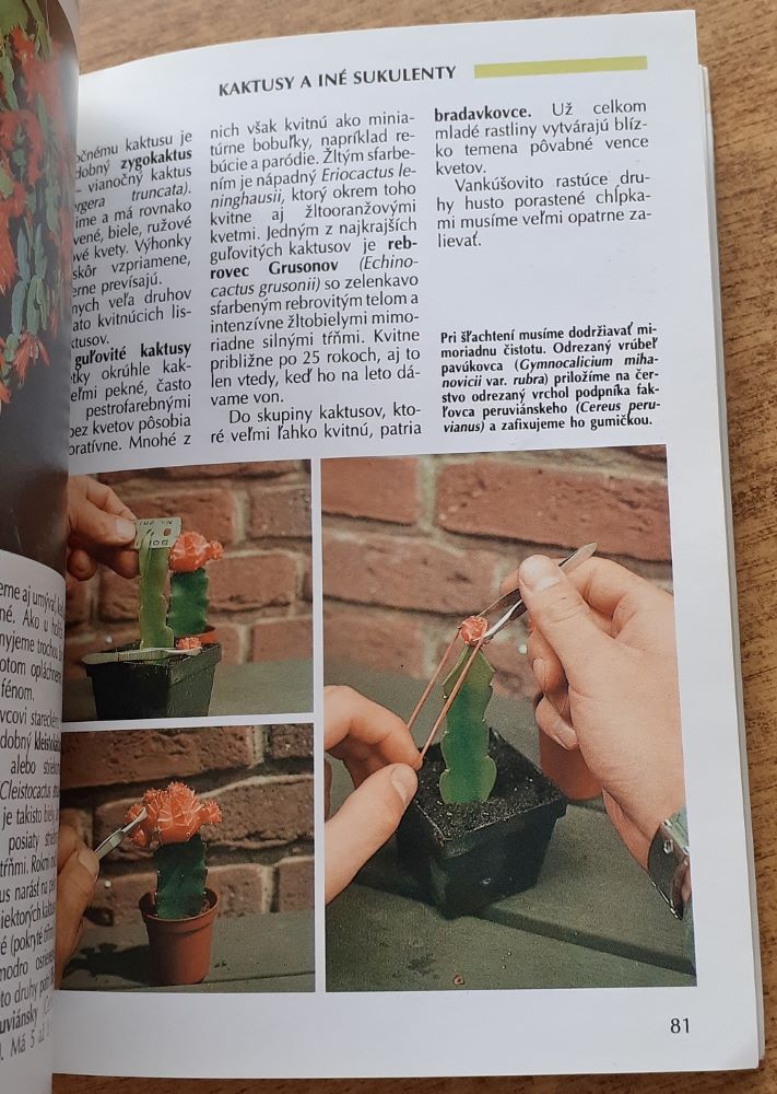 Pestujeme izbové rastliny / Malá záhradka - veľká radosť