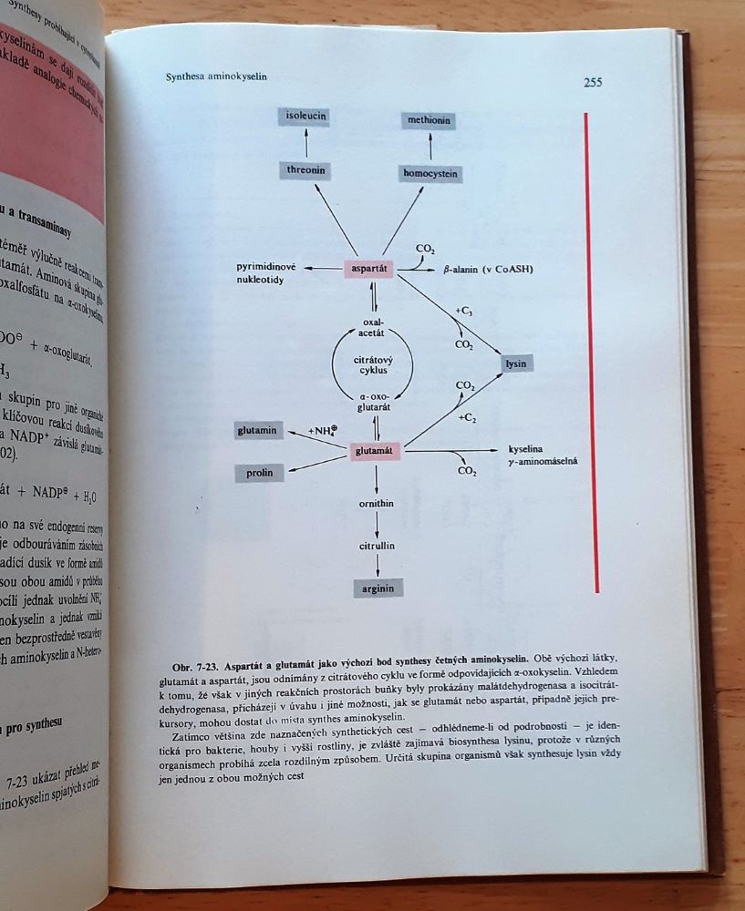 Biochemie rostlin