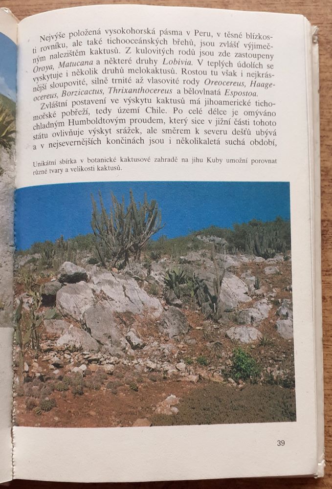 Zelení ježci - kaktusy / Edice Planeta