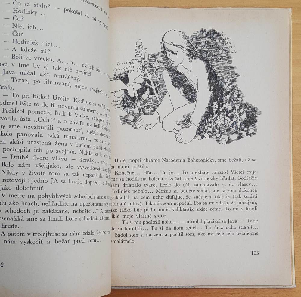 Neznámy z bytu číslo 13 alebo Zlodeji hľadajú okradnutého