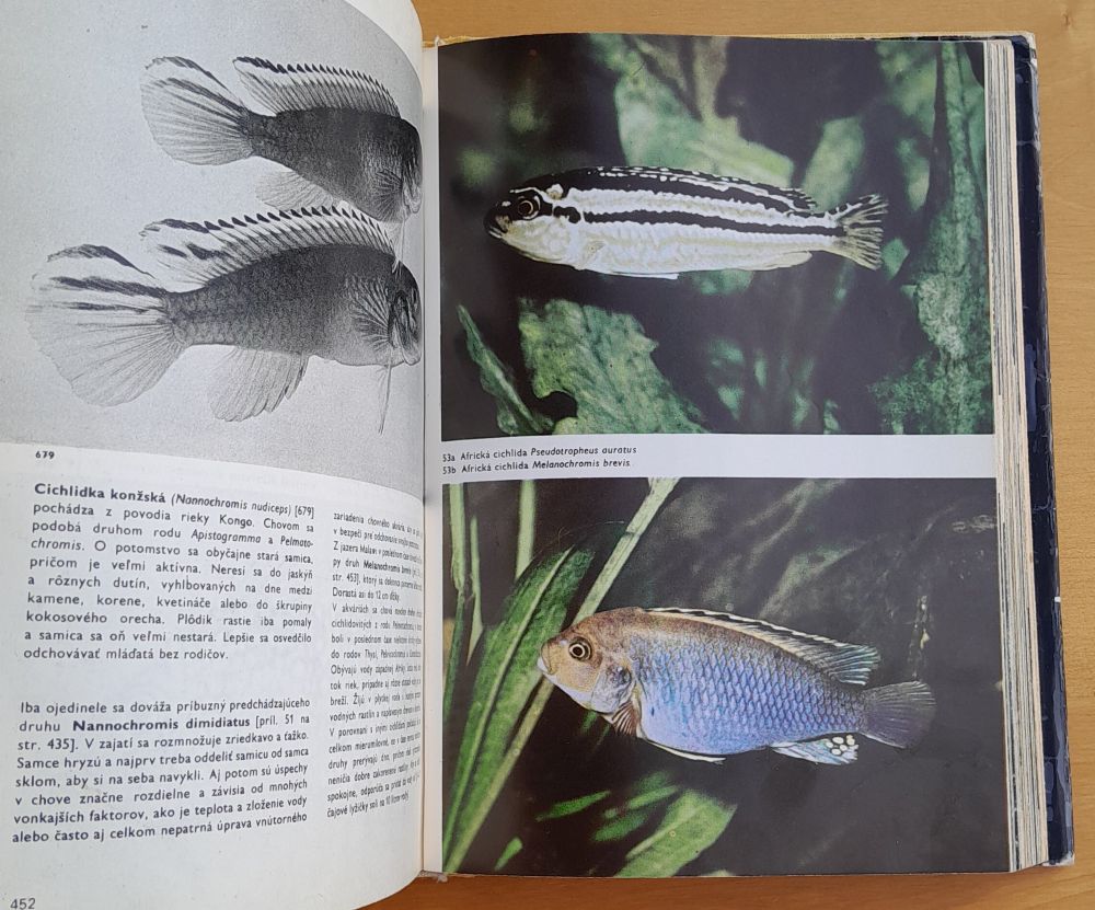 Veľký obrazový atlas rýb