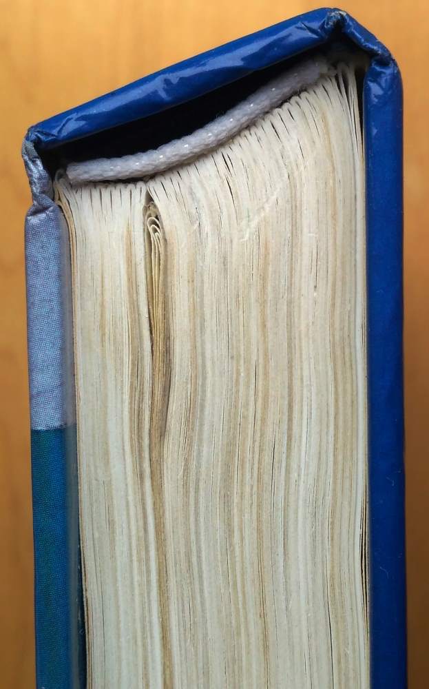 Falošný hráč / Frederick Forsyth