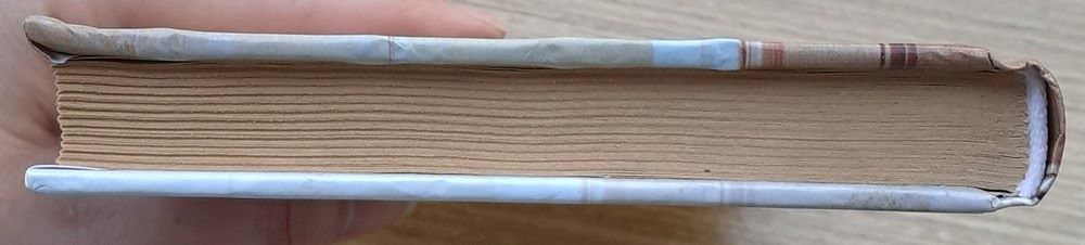 V úplne novom svetle