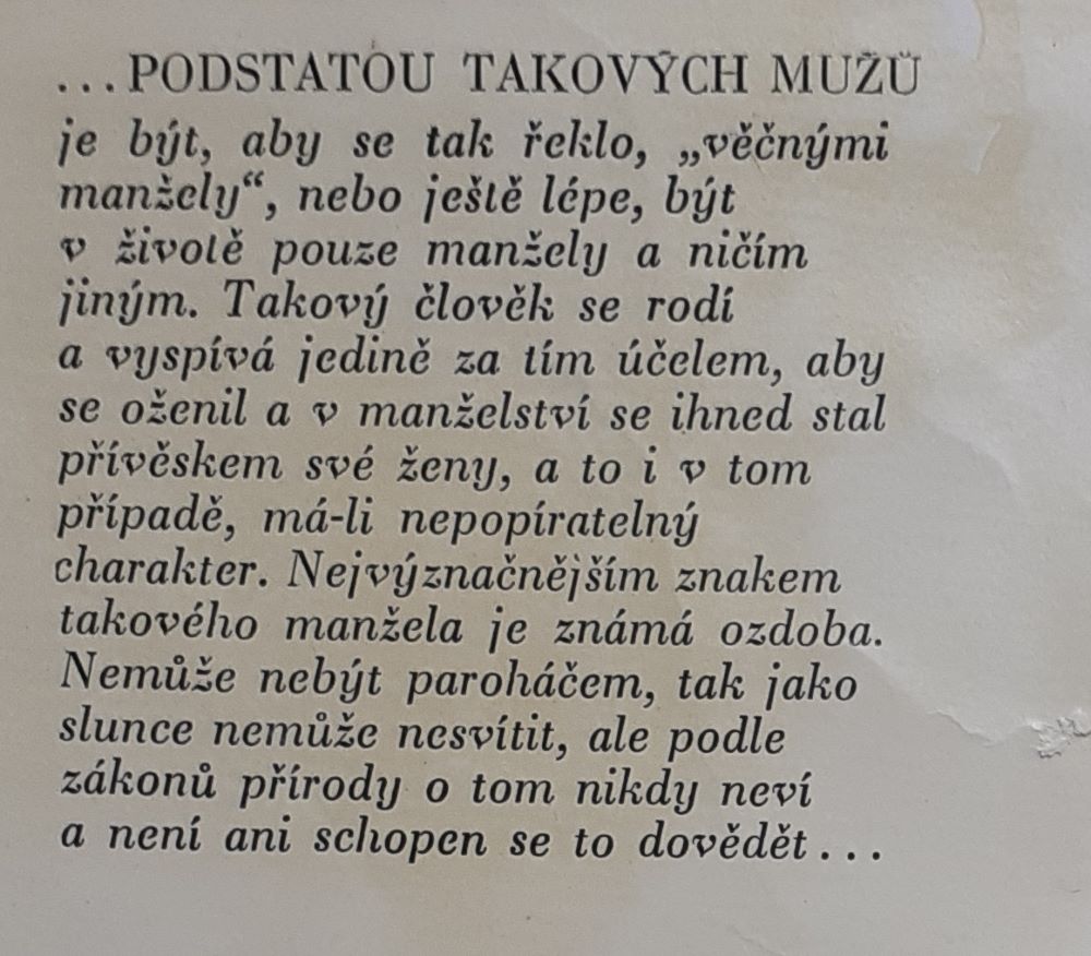 Věčný manžel / Dostojevskij