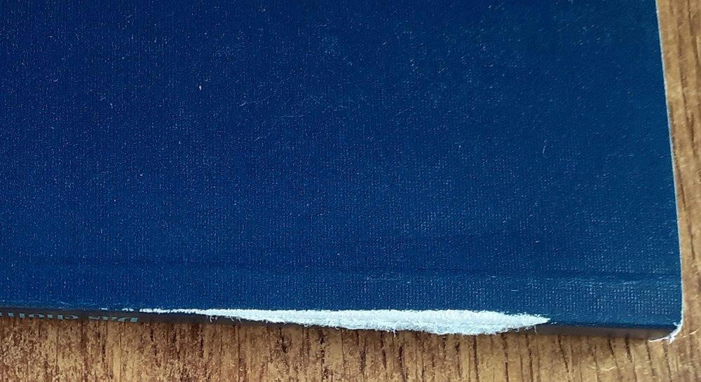 Das cholinerge System der Atemwege