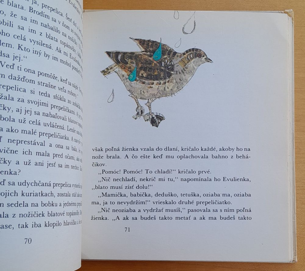 Poľná žienka Evulienka / František Nepil