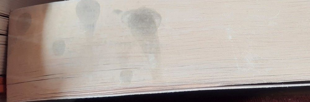 David Copperfield / Penguin Popular Classics