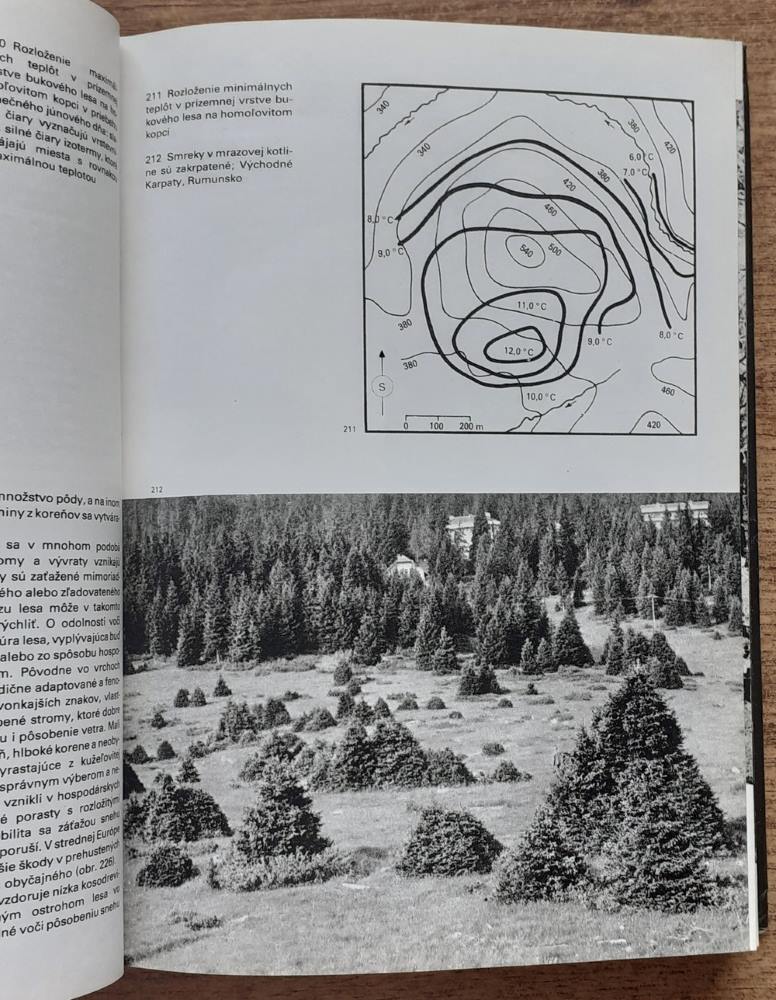 Veľký obrazový atlas lesa