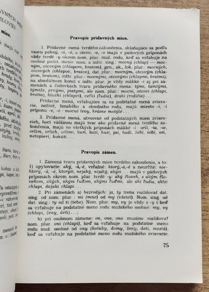 Gramatika jazyka slovenského