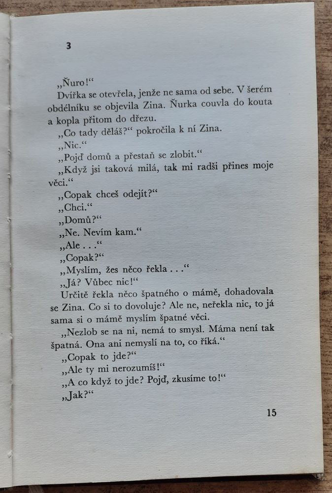 Ňura a Zina
