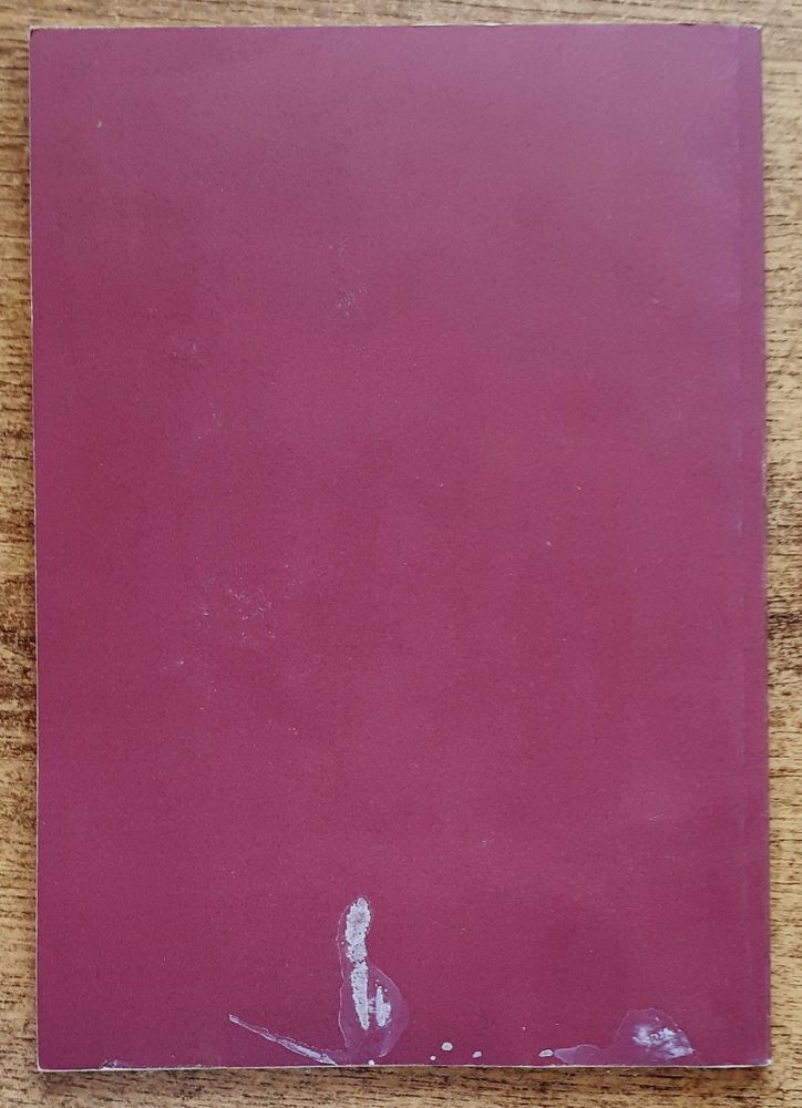 Hľadieť na Krista očami Márie