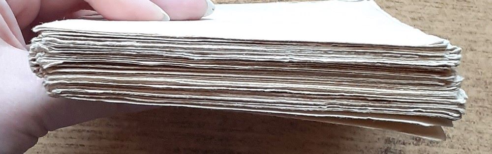 Vyhlazení firmy Chapman & Cole / Detektivní román