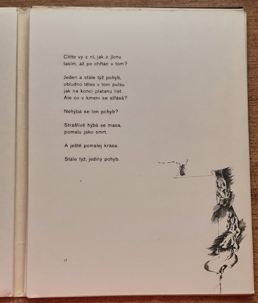 Kam létají labutě