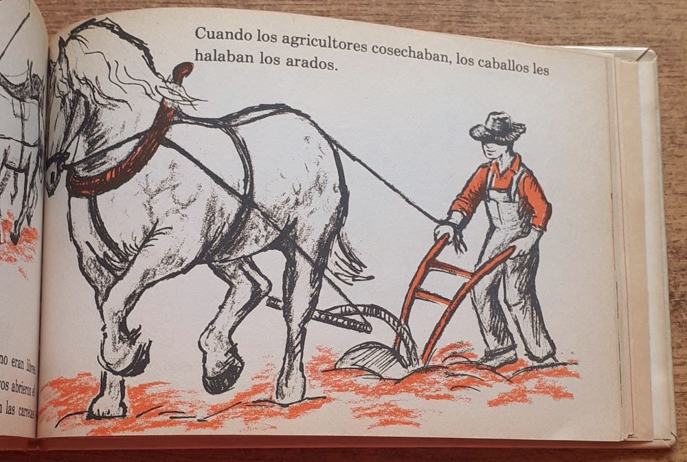 Los Caballos / Yo Puedo Leer Sobre