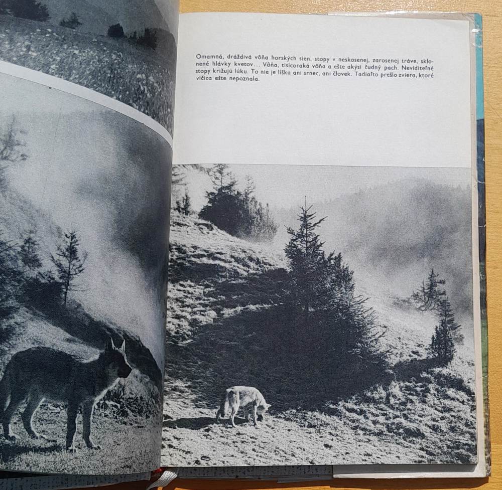 Sivá vlčica / Knižnica ľudového kalendára, zv. 3