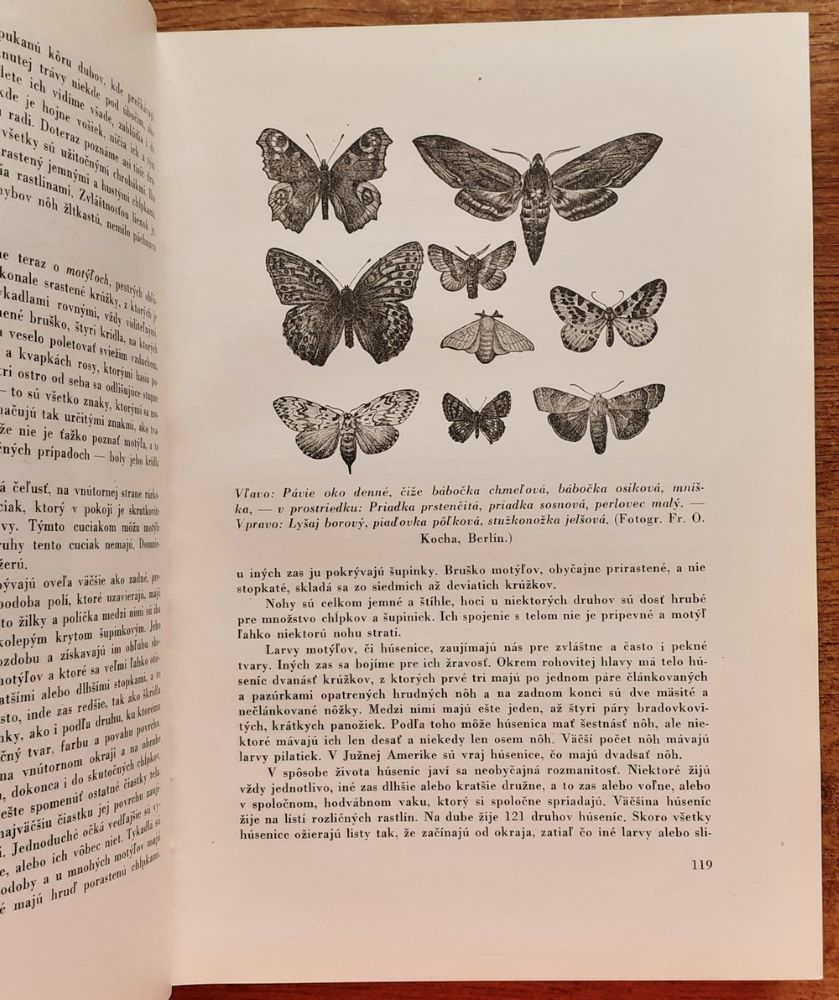 Zo života zvierat I. II. / Podľa vydania B. Merkera