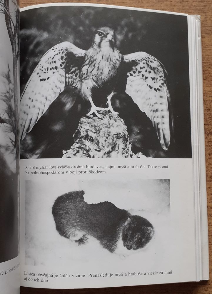 Sondy do súkromia prírody