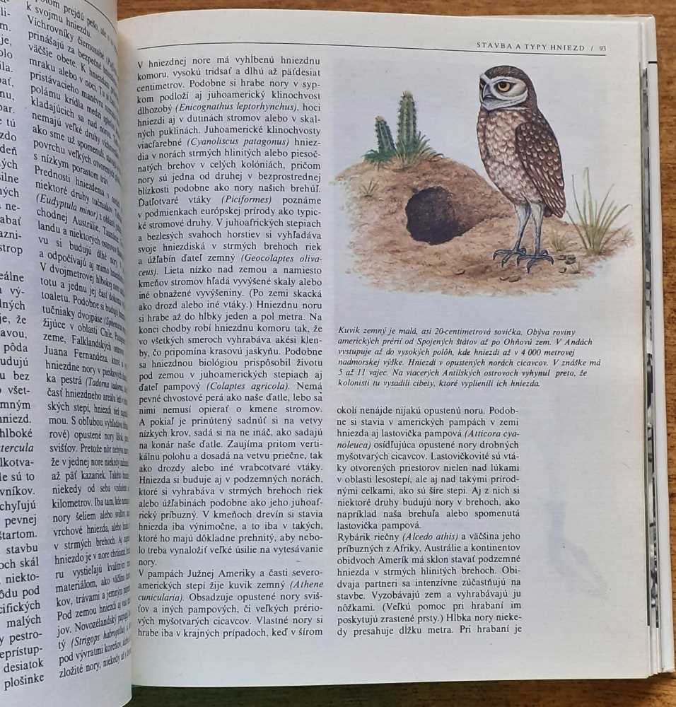 Pri vtáčích hniezdach
