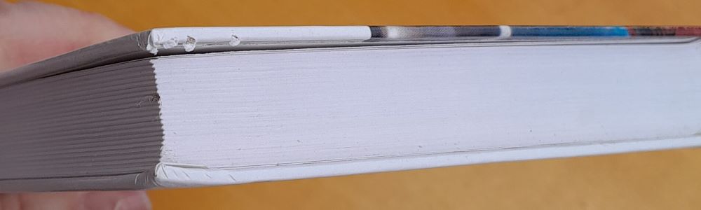 Jako zabít ptáčka