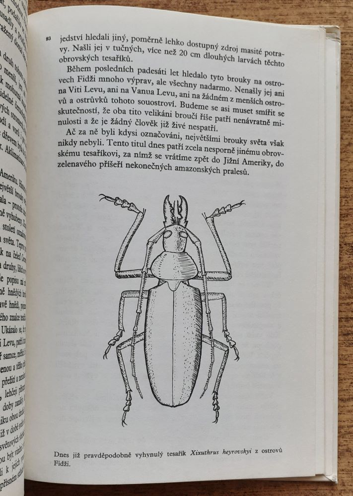 Nejkrásnější brouci tropú / Živou přírodou