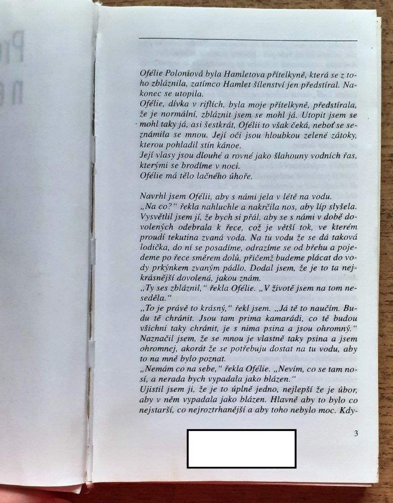 Proč bychom se netopili aneb vodácký prúvodce pro Ofélii