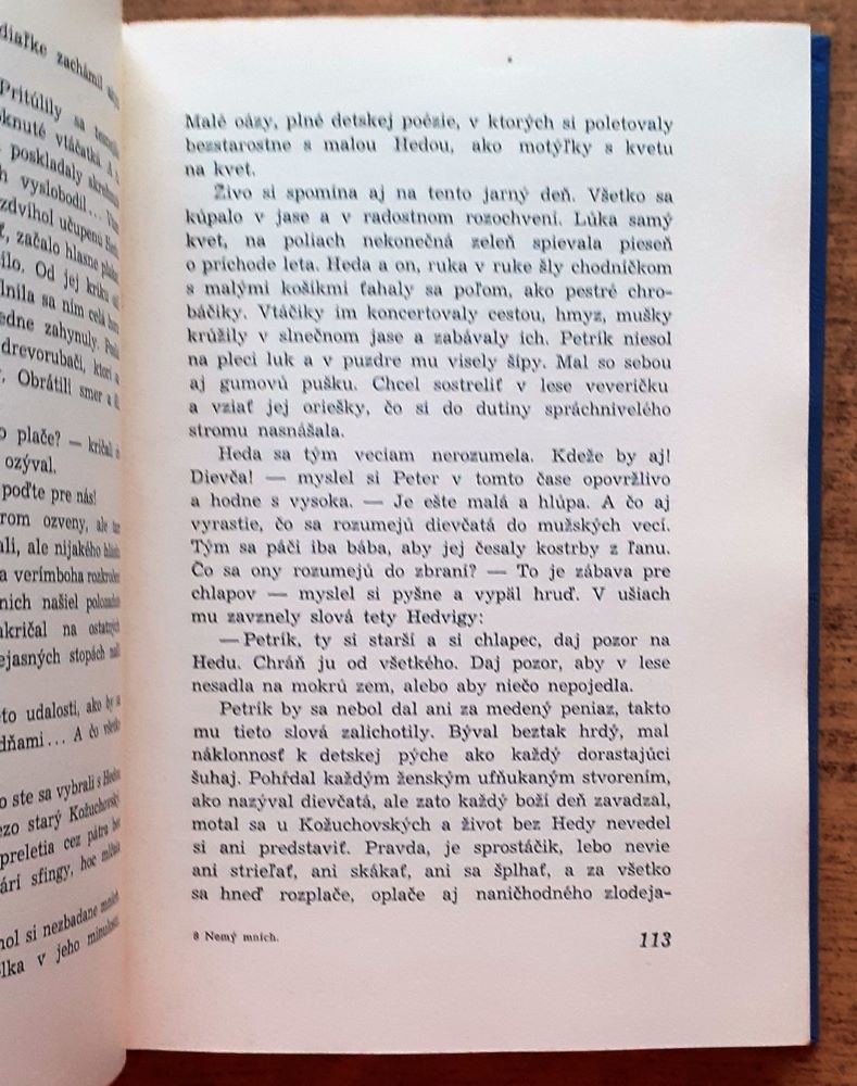 Nemý mních / Román dvoch svárlivých zemianskych rodín