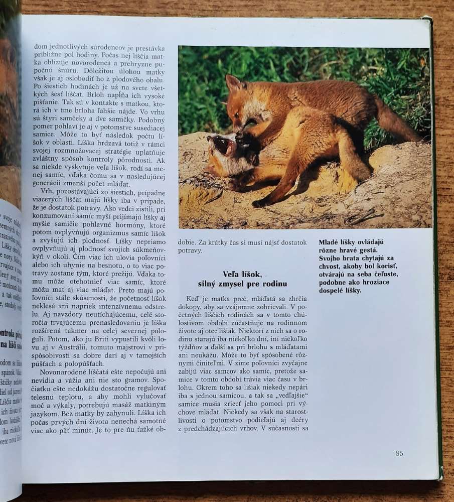Mláďatá / Tierbabys