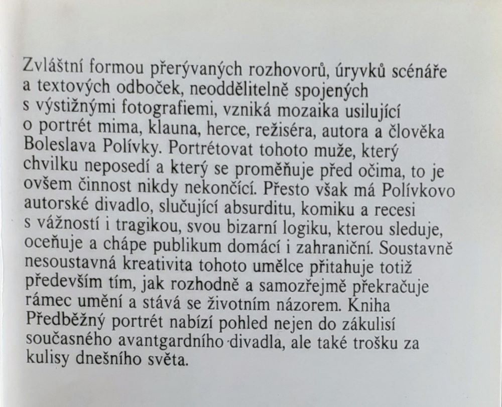 Předběžný portrét