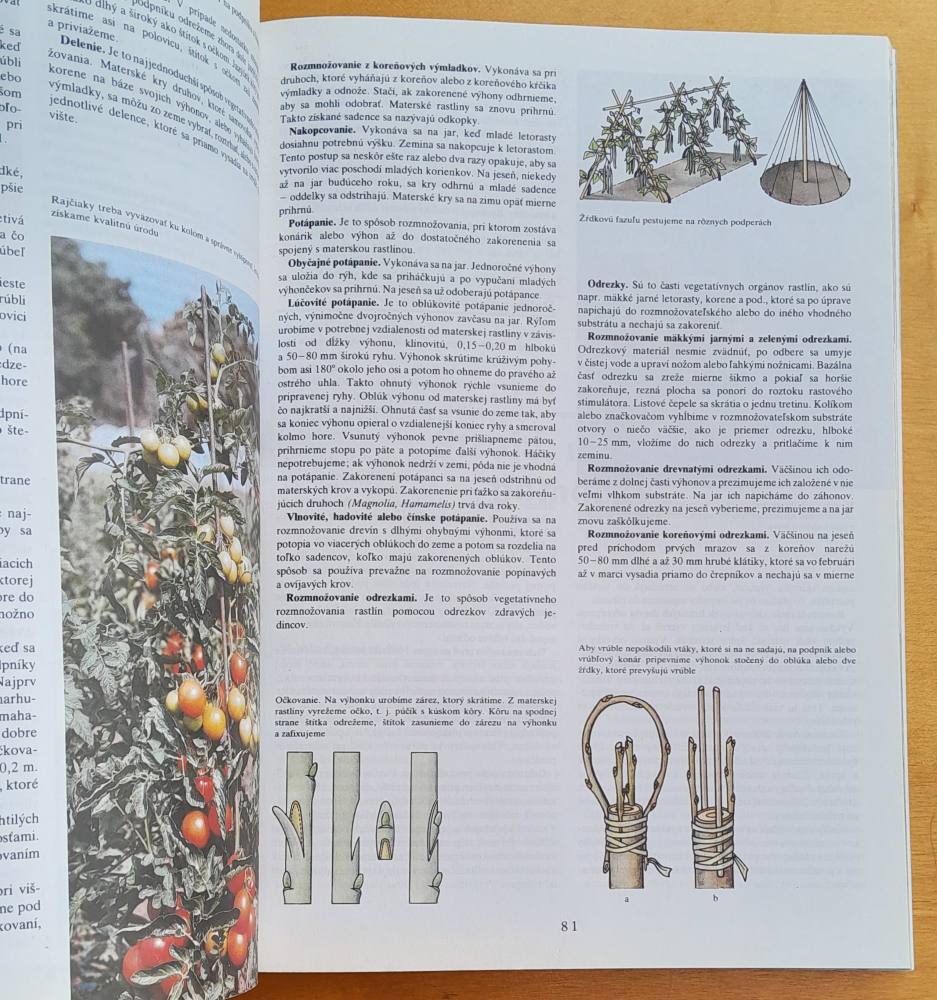 Záhradkárska encyklopédia