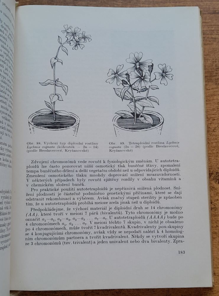 Genetika rastlín / Rastlinná výroba