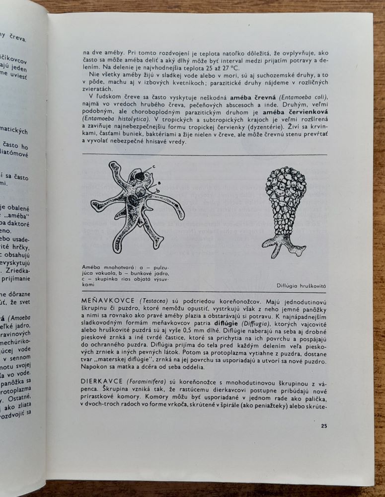Život zvierat 1. Bezstavovce / Brehms Tierleben