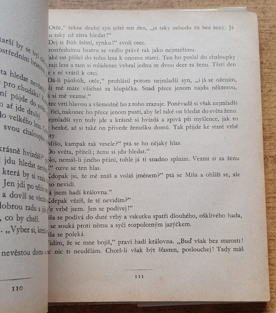 Železný prsten / Slovinské lidové pohádky vypráví Kristína Brenková