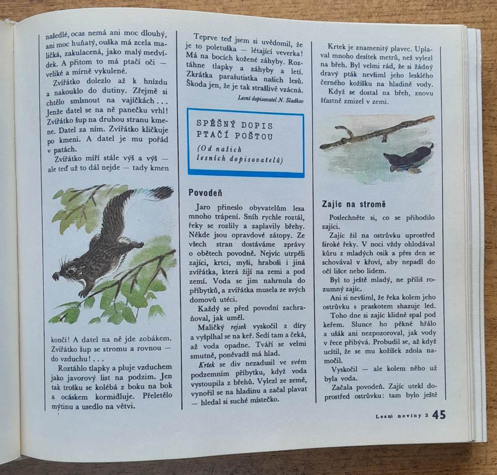 Lesní noviny na každý rok