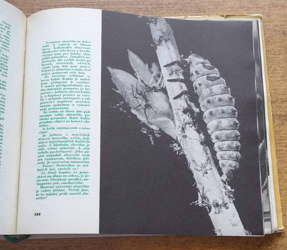 Lovy beze zbraní / Velká neznámá ilustrovaná řada