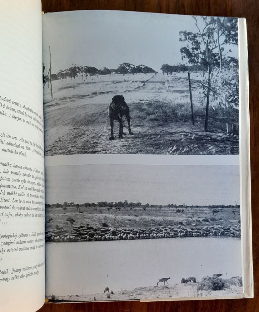 Štvornohí Austrálčania / Dobrodružstvá so zvieratami a ĺudmi na piatom kontinente