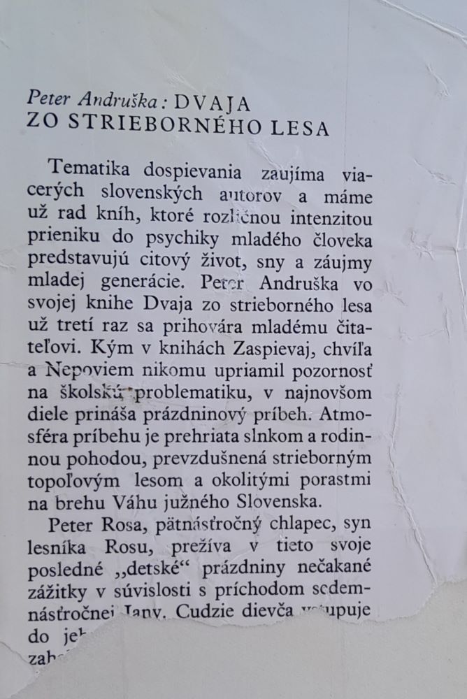 Dvaja zo strieborného lesa