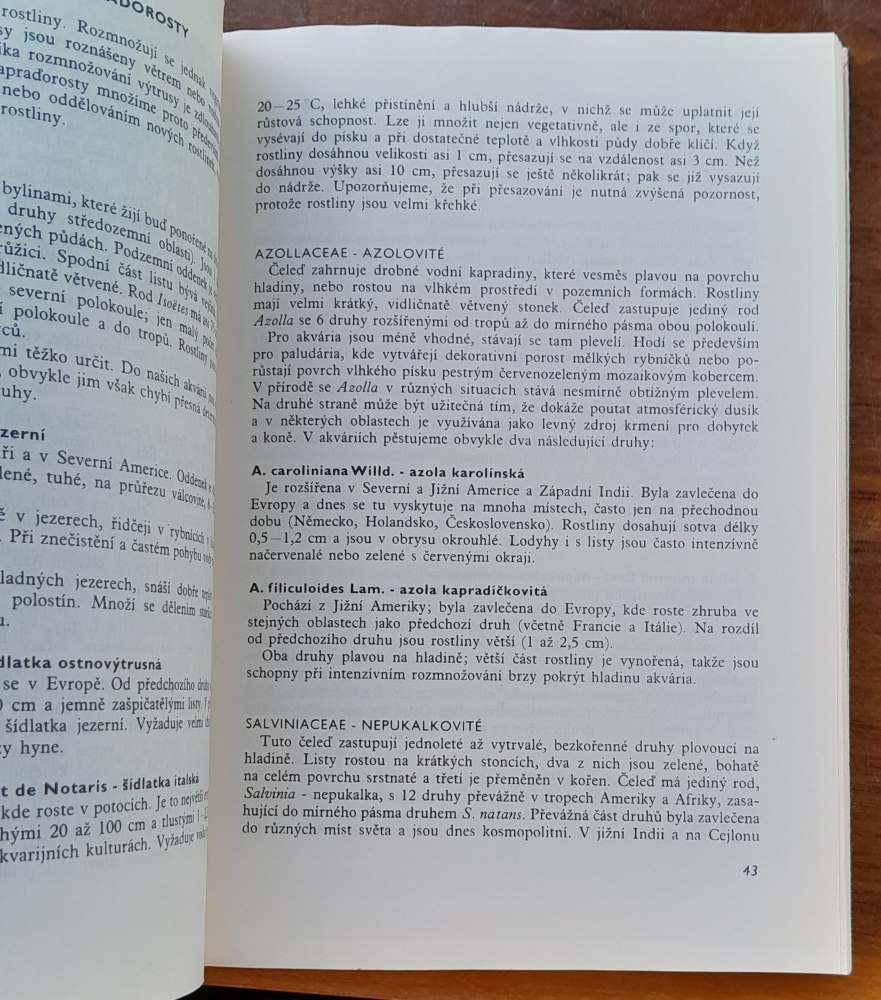 Akvaristika začíná u rostlin