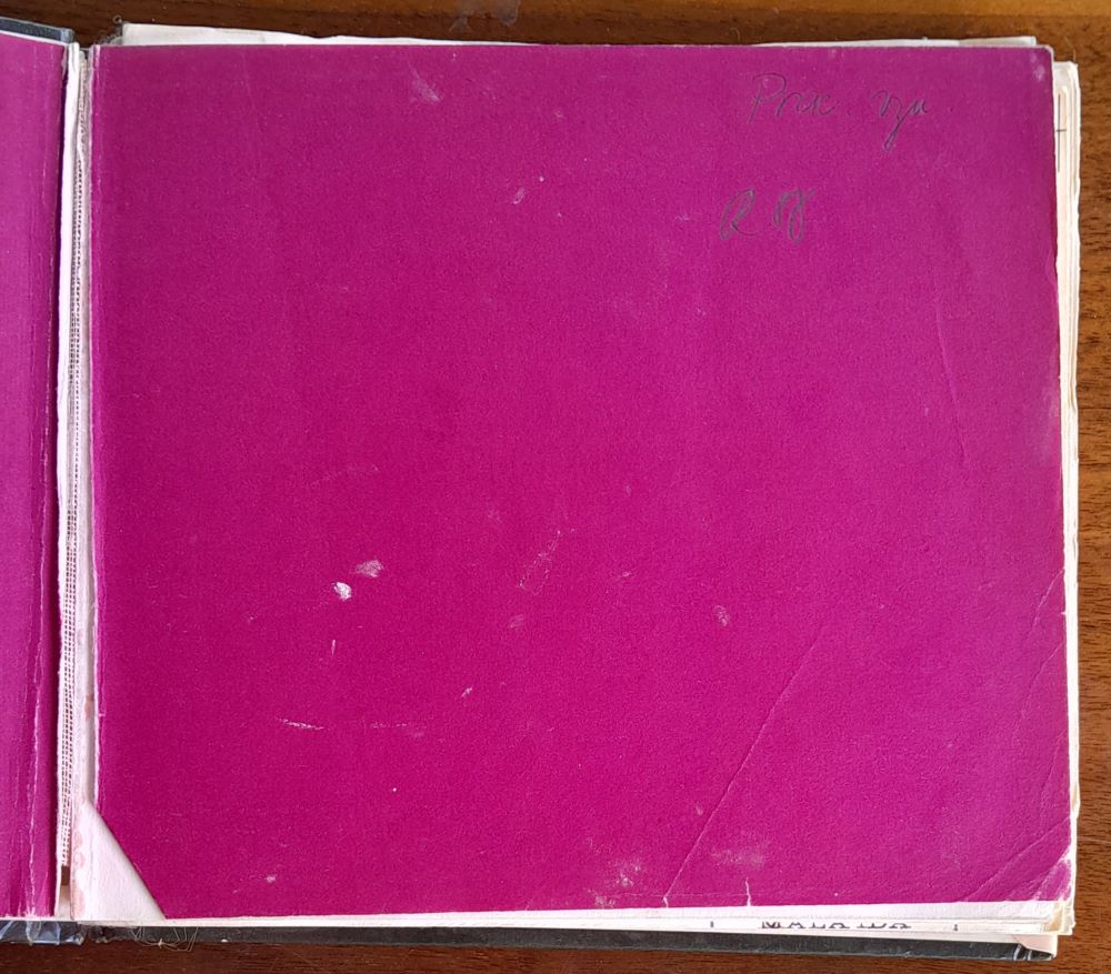 Vysoká škola dievčenskej zručnosti