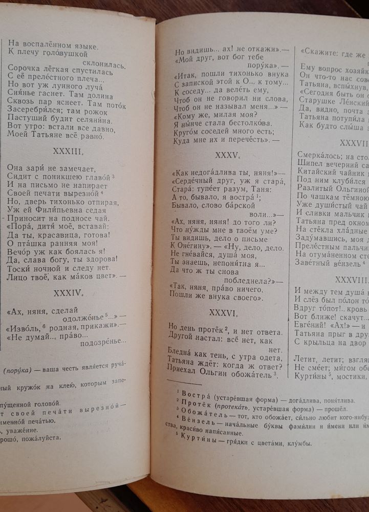 Russkaja literatura / (ruská literatúra) Chrestomatija dlja VIII klassa nerusskoj srednej školy