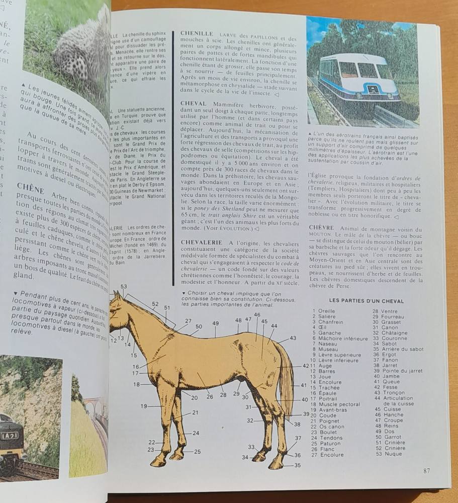 La nouvelle encyklopédie des jeunes