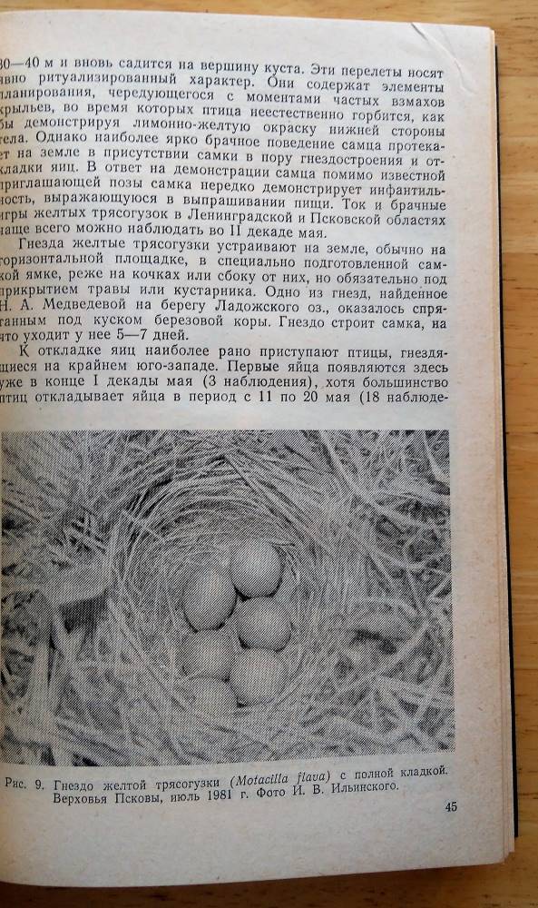 Pticy Leningradskoj oblastii sopredeľnych territorij 1. 2.