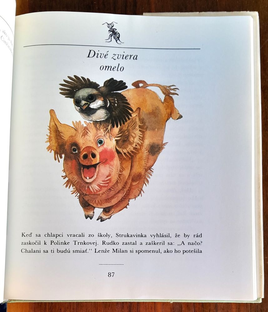 Čimčirinček a chlapci / Rozprávka jedného leta