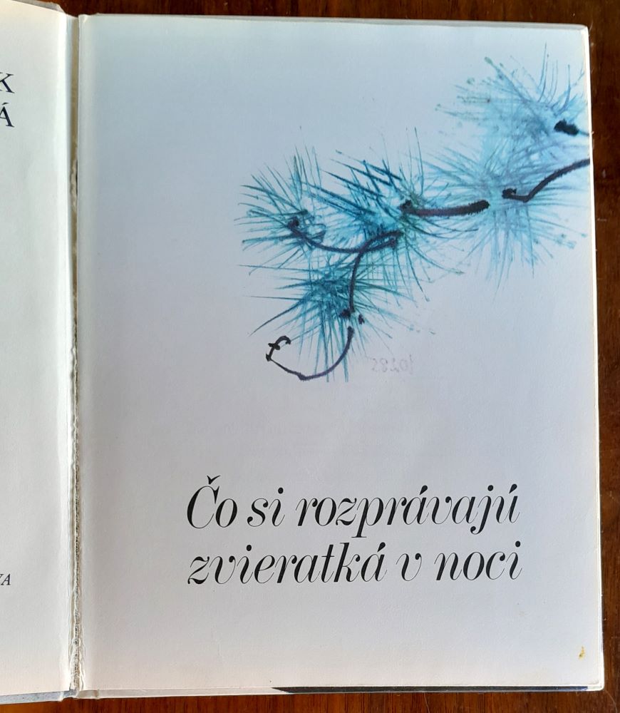 Čo si rozprávajú zvieratká v noci / Medzinárodná séria pre deti od 5 rokov