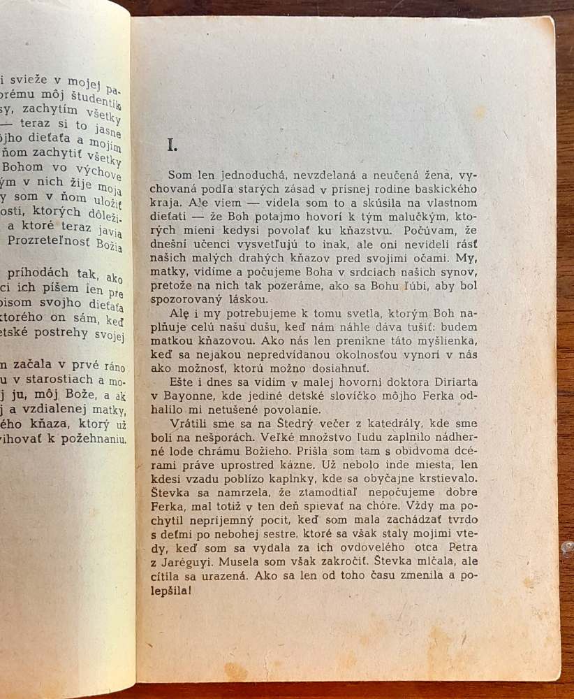 Za hlasom Pánovým / Denník jednej matky