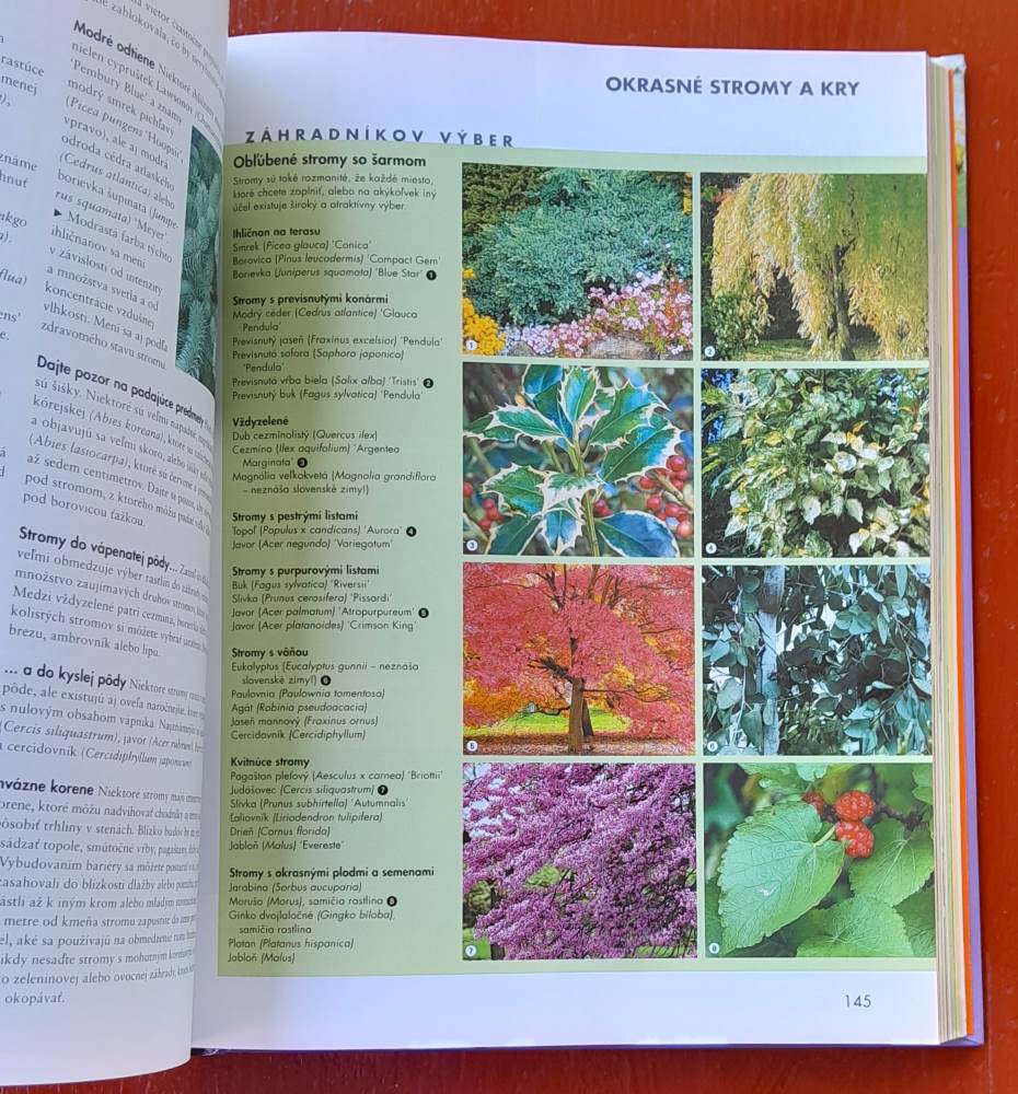 Tajomstvá starého záhradníka