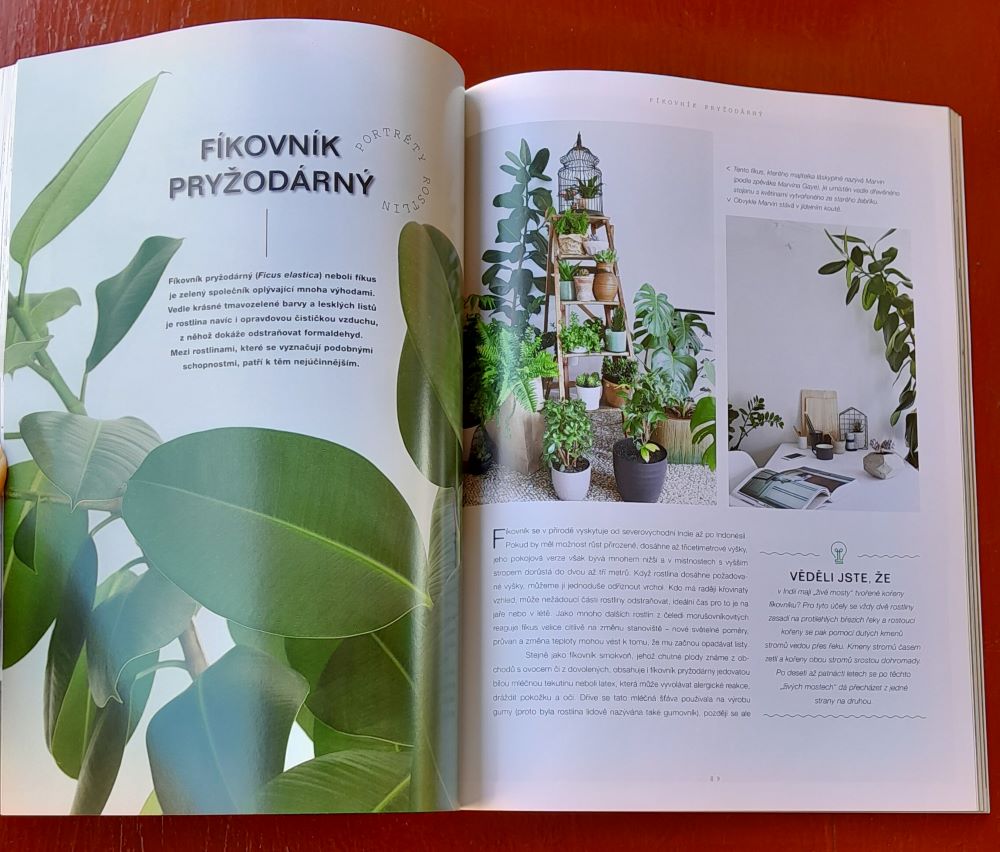 Urban Jungle / Krásný byt plný pokojových rostlin